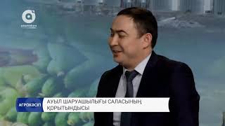 Ауыл шаруашылығы саласының қорытындысы