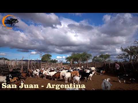 182 - La Buena Esperanza, San Juan - Estancias y Tradiciones