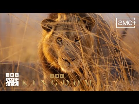 Kingdom | Official Trailer | Premieres January 24 on BBC America
