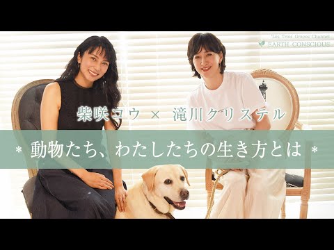 【犬猫好きの方必見】殺処分はこの10年で約1/10に！『クリステル・ヴィ・アンサンブル』の活動について伺いました | 柴咲コウ