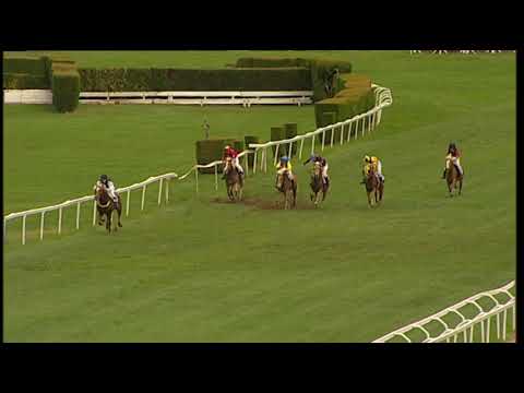 Herbstgalopprennen Oktoberfest: 4a corsa Haflinger/Haflinger Rennen 09.10.2022