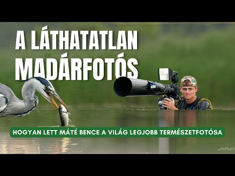 A láthatatlan madárfotós: Máté Bence a világ legjobb természetfotósa