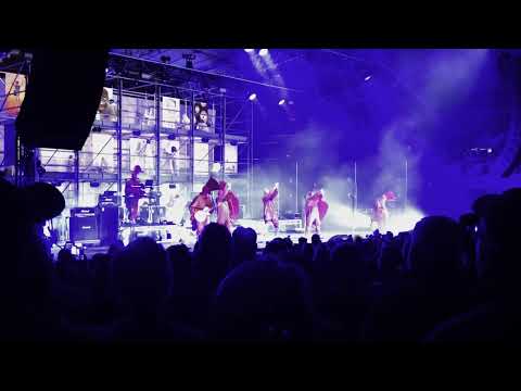 TISM Myer Music Bowl 2024 Nov 9