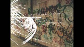 loren mazzacane connors - these walls