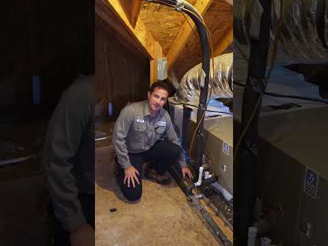 HVAC Maintenance Water in Drain Pan