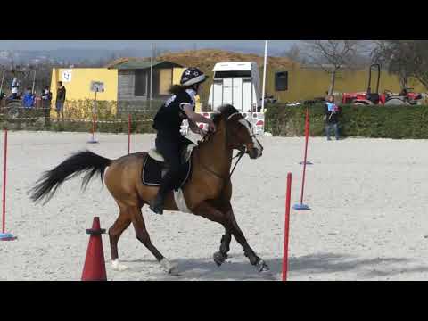 mounted games REBECCA e BILLI prima tappa 4 regioni 2019