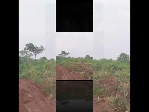 Fazenda para venda Município de Luciara Mato Grosso.Área 4.306 ha. plana com teor de argila de 50%.