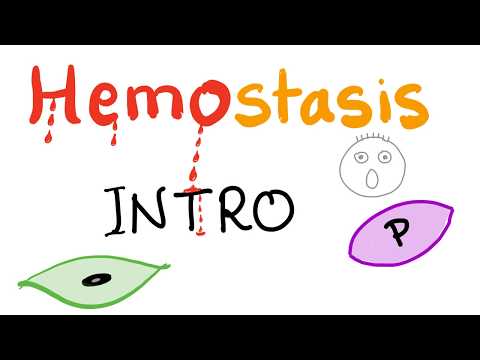 Hemostasis - How your blood clots - Overview