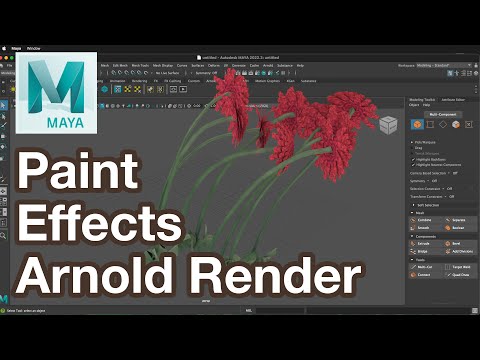 Maya Tutorial Render Paint Effects in Arnold