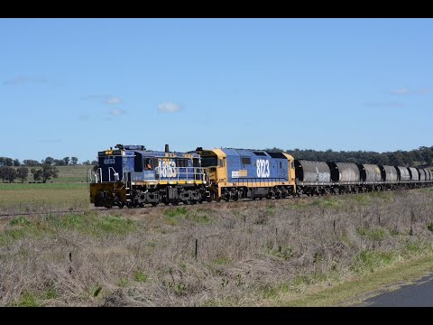 Freightcorp ALCO leads a Manildra Grain Train!