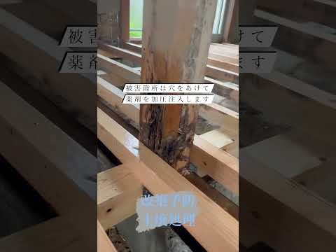 『LoL』ルーンフューチャーのマーケット:「フューチャーマーケット」の仕組みはどうなっているの?