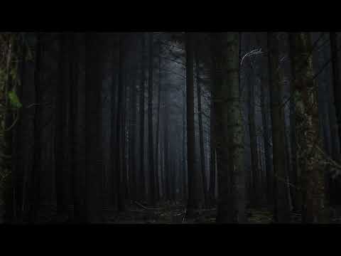 [EPIC, DARK, HORROR, TRAILER MUSIC] THE HUNTED - 2016
