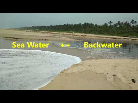 What is Backwater? Alleppey, Kerala