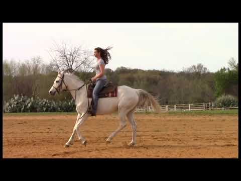 REEMAH G - Arabian Mare by Gorec