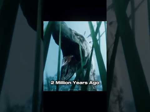 Terror birds... ☠️ #prehistoric #terrorbird #shoebill #extinct