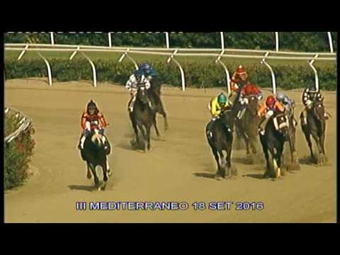 Galoppo Corse del 18 Settembre 2016