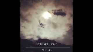 Control Light - Styja (Winter)