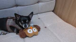 It&#39;s so hard to let go by Emma Forman