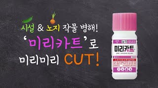 역병 노균병 걱정 끝! 난균류 방제에 탁월한 효과! 미리카트