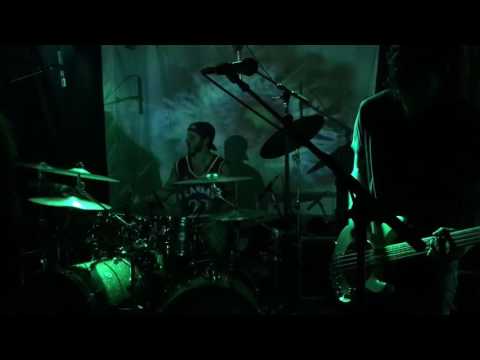 Dead Ohio Sky - Tool - Aenima (Cover - LIVE)