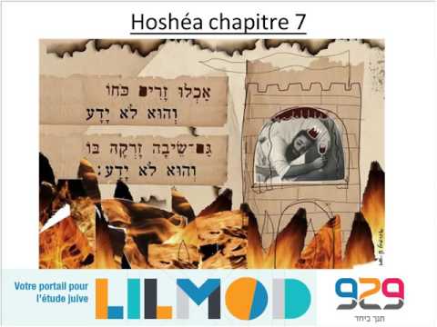 929 Rony Akrich -Hoshéa chapitre 6 a 10