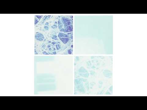 The Bony King of Nowhere - Every Road