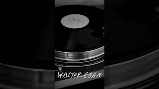 Walter Egan - Magnet and Steel (Not Shy, Columbia, 1978) #shorts