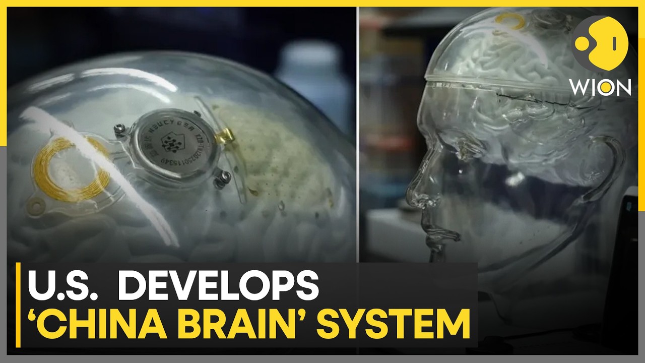 US Scientist Builds China Brain, Global Tech War Begins? | WION News