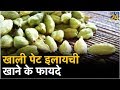 Sanjeevani Tips खाली पेट इलायची खाने के फायदे