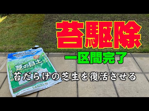芝生のコケとの戦いに成功する トピックス