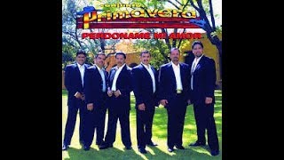 Hazme Olvidarla - Conjunto Primavera