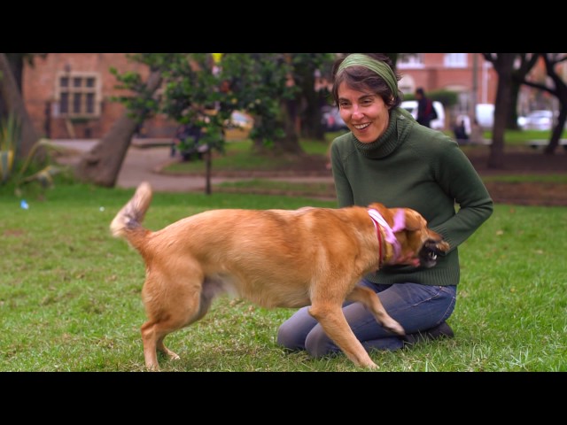 Vídeo relacionado con La vida es Linda (Serie Siete vidas, de Ediciones Guacharaca)