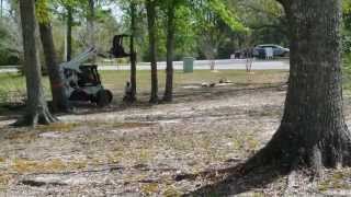 preview picture of video 'City of Diamondhead Tree Removal Services'