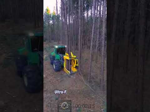 Feller Buncher: Ultra-Fast Tree Cutting Machine!