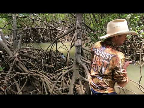 DEEP MANGROVE MISSION - coming soon?