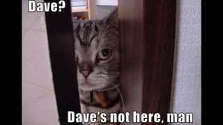 Cheech &amp; Chong - Dave&#39;s not here