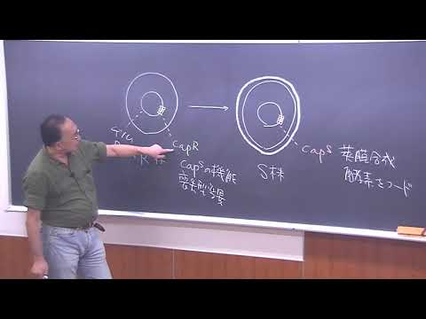 講義サンプル動画 | 医学部学士編入 対策講座 河合塾KALS 講義サンプル動画 | 医学部学士編入 対策講座 河合塾KALS