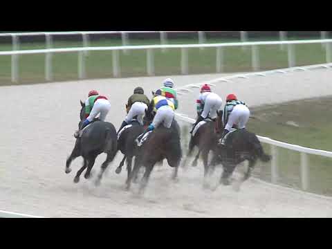 2020.12.13. 06. futam - GREENPEACE HENDIKEP (II.o.) (szintetikus pálya)