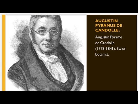 Introduction and classification system of Augustin Pyramus De Candolle