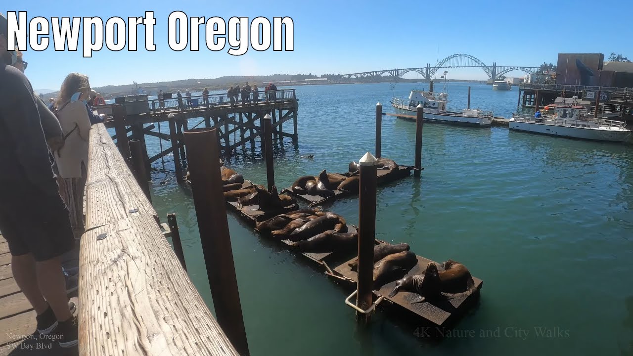 Immersive street-level walking tour through Newport, OR, United States, showcasing authentic urban landscapes, local architecture, and the vibrant atmosphere of the city's neighborhoods