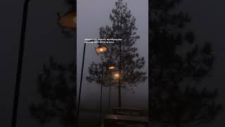 Download lagu Story Wa Lagu Kok Iso Yo Guyon Waton // Infone Maszehh mp3 Download lagu Story Wa Lagu Kok Iso Yo Guyon Waton // Infone Maszehh mp3