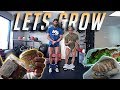 ALL YOU CAN CHEAT DAY with SUBSCRIBER | Thanksgiving SALE Announcement! | LET'S GROW - EP.1