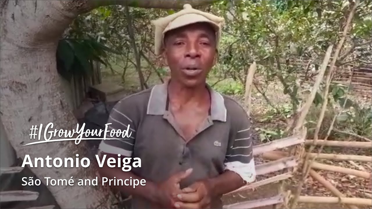 Meet Antonio, an organic farmer from São Tomé and Príncipe 🇸🇹