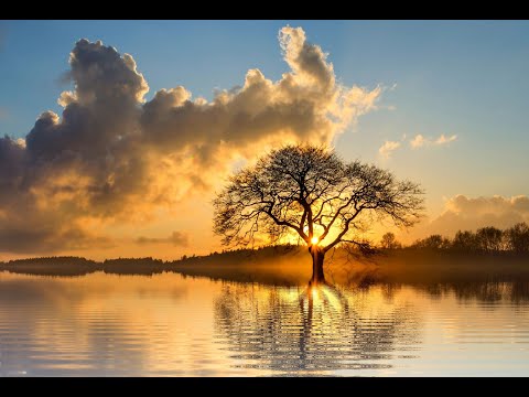 Bikurim (First Fruits)