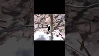 The BEST Songs To Listen To While Playing Gorilla tag #gorillatagfun #vr #gorillatag #funny