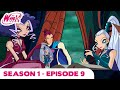 Winx Club FULL EPISODE Betrayed Season 1 Episode 9