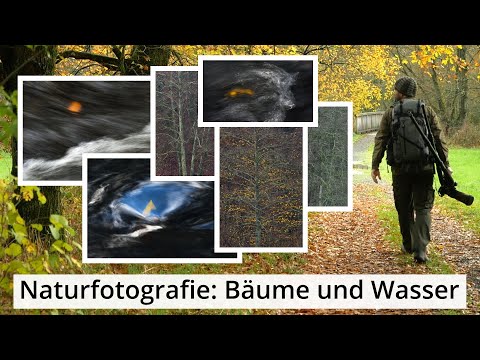 Naturfotografie: BÄUME und WASSER | Zeit nehmen beim Fotografieren