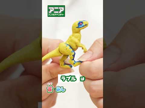 【アニアのたまご】なにが生まれるかな？Part3　#アニア #アニア研究所 #タカラトミー #shorts