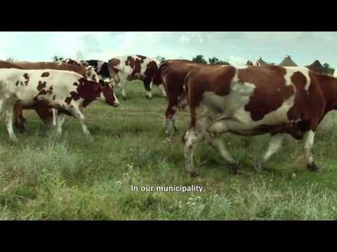 trailer