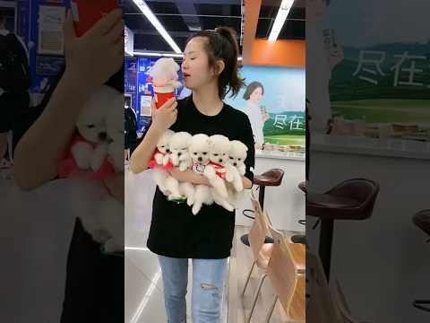 #Cut Puppy🐶, #Dog Lover Pet Happiness #Baby #Hugpet Beautifully #heartlove